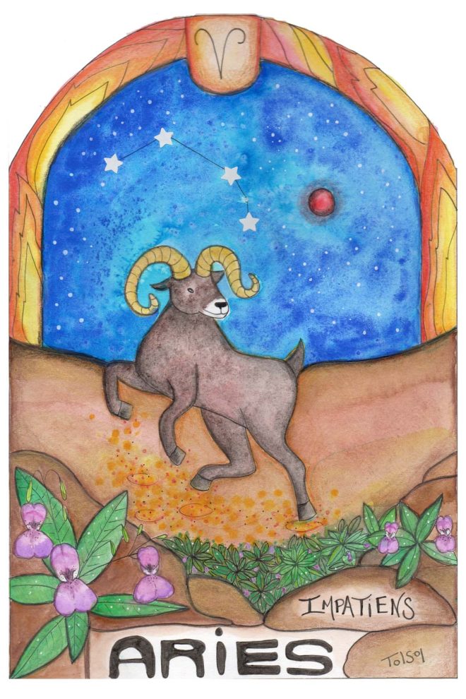 Postal Signo Aries