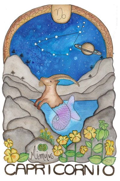 Postal Signo Capricornio