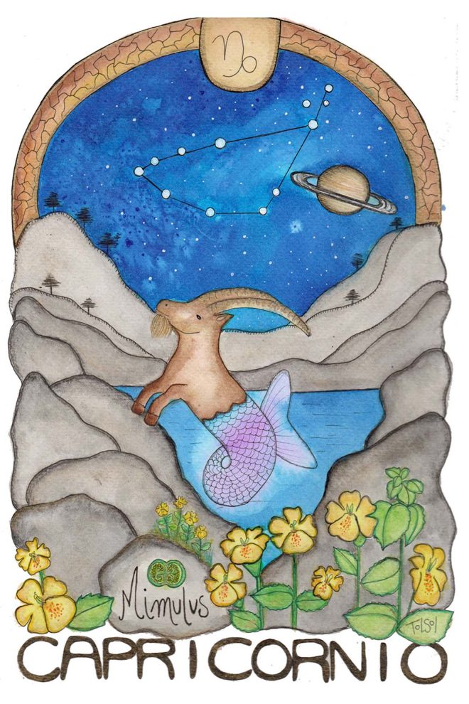 Postal Signo Capricornio