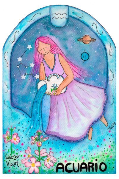 Postal Signo Acuario